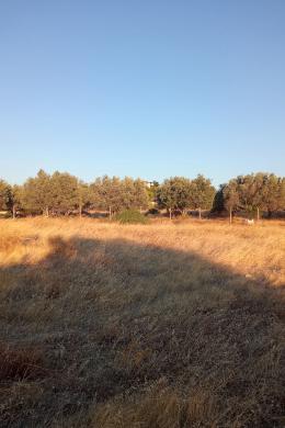 PORTO RAFTI, Land, Sale, 4049 sq.m