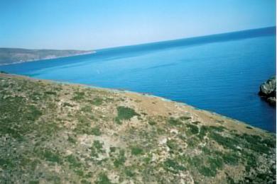 ANDROS, Agricultural Land Plot, 300000 sqm, 400.000€